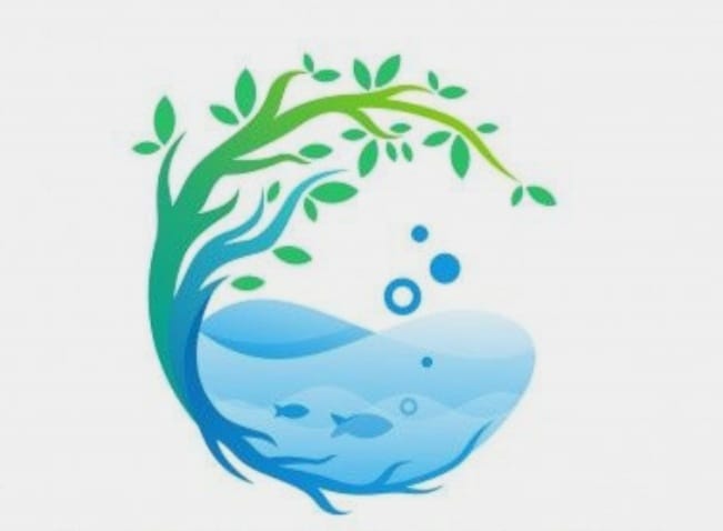 Air and Water
